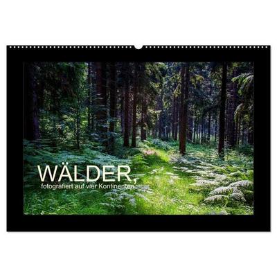 Wälder, fotografiert auf vier Kontinenten (Wandkalender 2026 DIN A2 quer), CALVENDO Monatskalender