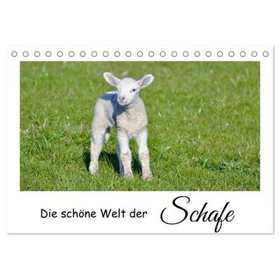 Die schöne Welt der Schafe (Tischkalender 2027 DIN A5 quer), CALVENDO Monatskalender