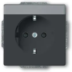 Busch-Jaeger SCHUKO Steckdosen-Einsatz 20 EUCNB-81 2CKA002013A5427