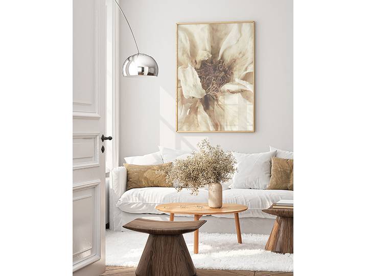 Bild White Flower Rahmen: Massivholz Buche, lackiert Abdeckung: Acrylglas Multicolor 63 x 83cm
