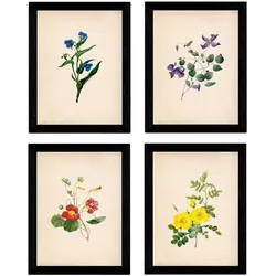 POSTER Set mit 4 Botanische Papier Hintergrund farbige Blumen A3 Rahmenlos