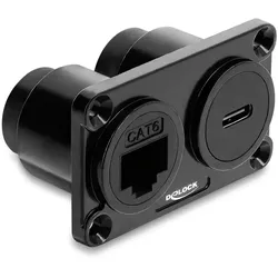 DELOCK Dual EinbauBu USB 10Gbps USB-C Bu PD 100W+RJ45 Bu