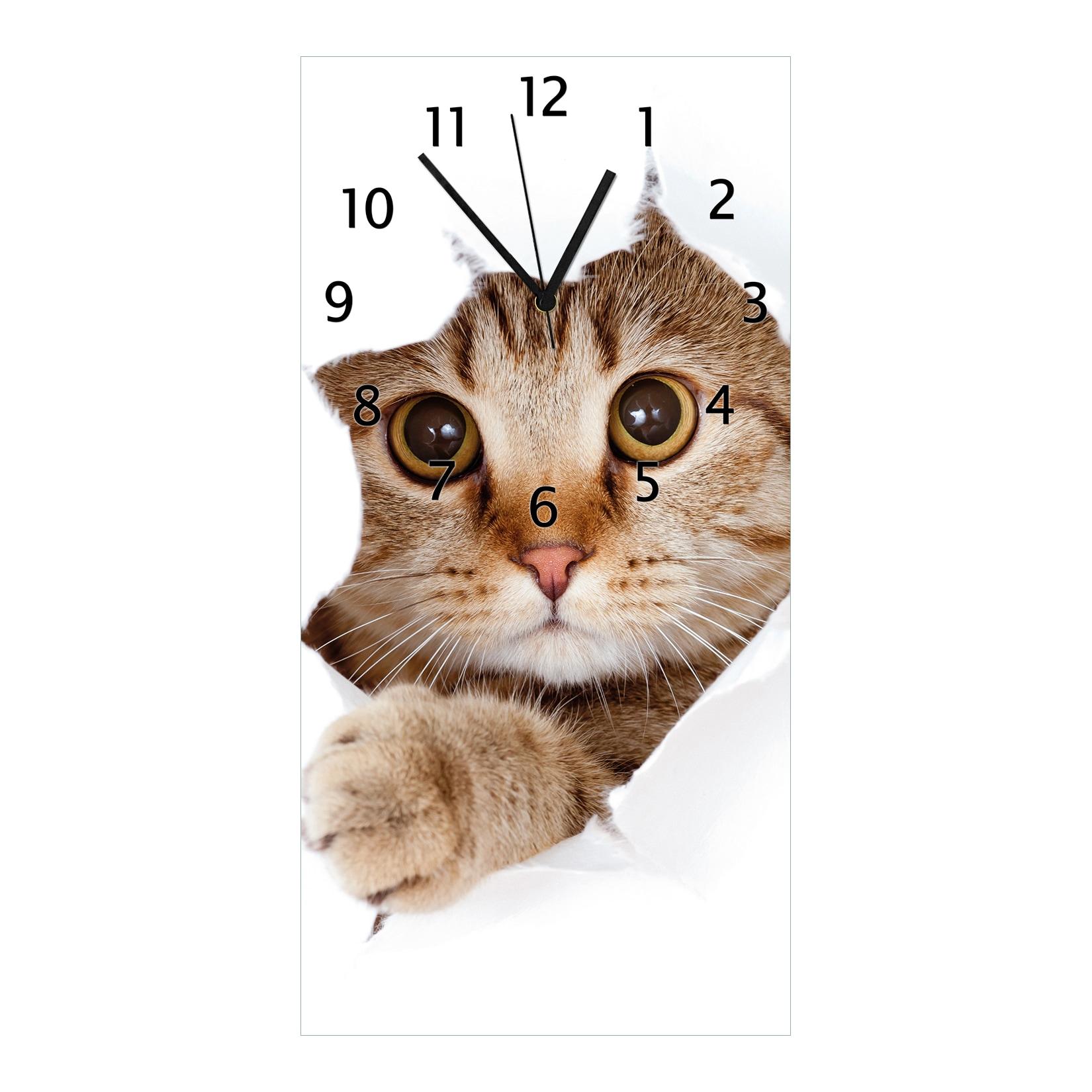 Wallario Uhr 30 x 30 cm, schwarze Zeiger Katze mit Blick nach vorn