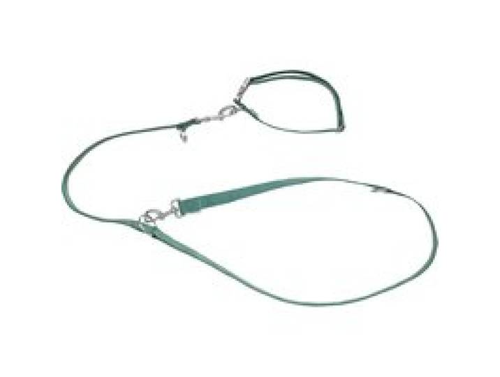 ZOOFARI® Collier et laisse pour chiens (Vert, L)