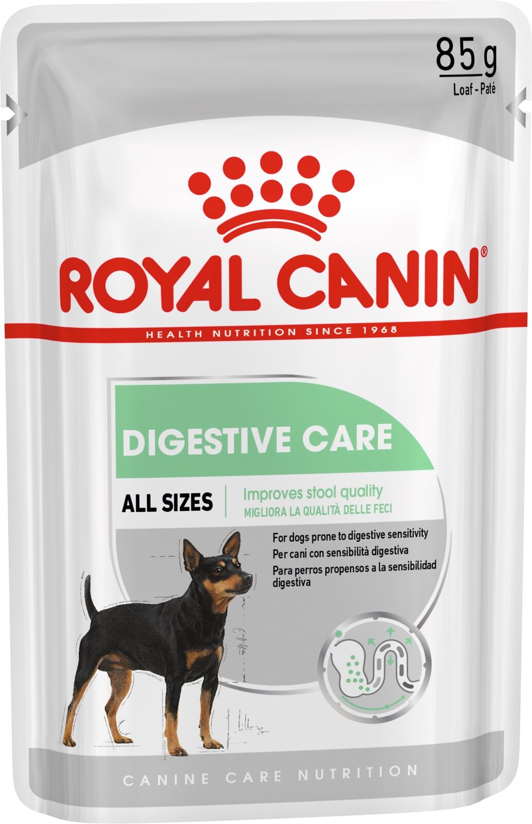Royal Canin Italia Ccn Wet Digestive Care 85g