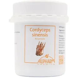 Cordyceps Sinensis Kapseln 100 St