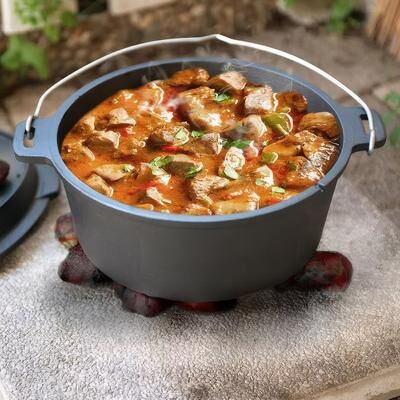 12 Quart Pre-Seasoned Cast Iron Dutch Oven with Skillet Lid, Outdoor Camping Deep Pot for Fireplace Cooking, BBQ, Baking