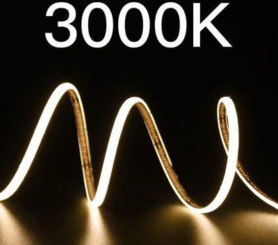 Inspired Finds SlimGlow 3 Mm Ultra Thin COB LED Strip Light (12V High Density) 0.5m 12v 2pin Wire 3000k