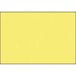 BRUNNEN Karteikarte 102250010 DIN A5 blanko ge 100 St./Pack.