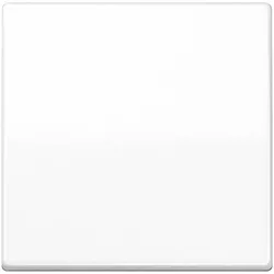 Jung Steuertaste Standard AS 1700 WW