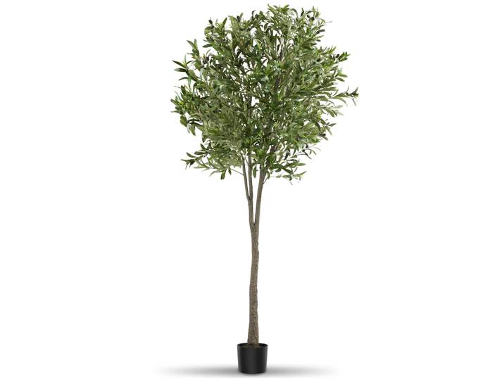 Olivier artificiel OLEAND à l'aspect naturel - 210 cm