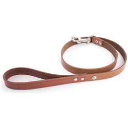 Martin Sellier Flash (100, Hund, Spazieren), Halsband + Leine