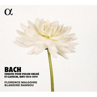 Sonaten für Violine & Cembalo BWV 1014-1019 - Johann Sebastian Bach, CD, 3760014194870
