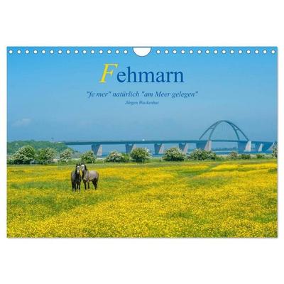 Fehmarn - 'fe mer' natürlich 'am Meer gelegen' (Wandkalender 2026 DIN A4 quer), CALVENDO Monatskalender