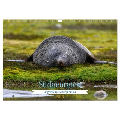 Südgeorgien - Abgelegenes Naturparadies (Wandkalender 2026 DIN A3 quer), CALVENDO Monatskalender