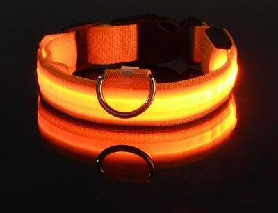 Uplifted Finds Nylon LED Night Safety Glow Dog Leash And Collar xs orange