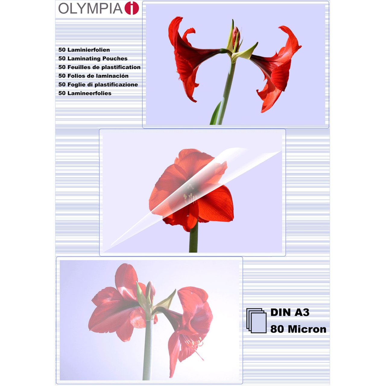 Olympia Laminierfolien DIN A3, 50 Stück 80 mic