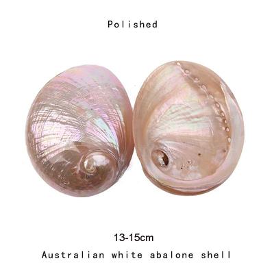 Abalone Shell Smudge Kit Paua Shell Sage Smudging Bowl With Stand d