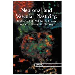Neuronal and Vascular Plasticity, Fachbücher von Kenneth Maiese