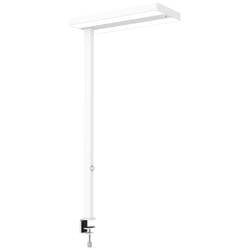 Maul MAULjuvis 8258702 LED-Tischlampe LED Lichtquelle durch Elektrofachkraft austauschbar 64 W Weiß