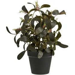 House Nordic, Kunstpflanzen, Kunstpflanze 35 cm, Produkttyp: Topfpflanze, Detailfarbe (35 cm)