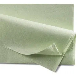 Vliestuch PROFI Non-woven Microfasertuch 35 x 40 cm grün Non-woven Tuch aus 100 % Microfaser, sehr hochwertig