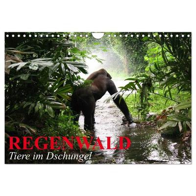 Regenwald • Tiere im Dschungel (Wandkalender 2027 DIN A4 quer), CALVENDO Monatskalender