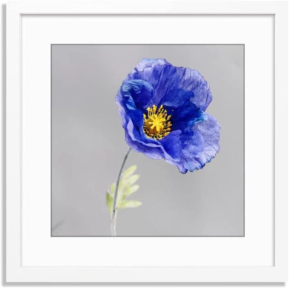 Klassieke Fotolijst Wit - Wandlijst Posterframe voor Muurdecoratie - 15x15 Inch