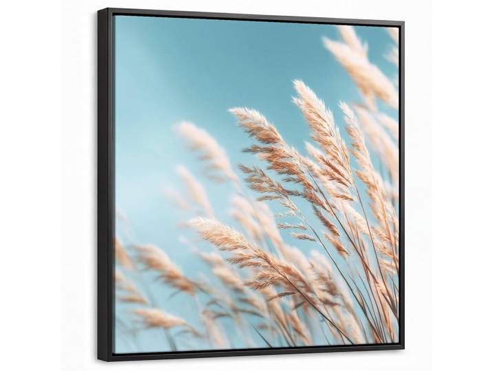 MuchoWow Leinwand Bilder mit Rahmen - Ziergras - Wind - Hellbraun - 50x50, Hellblau, Quadratisch, 50x50 cm, gerahmt, Bilder & Rahmen, Bilder, Leinwandbilder