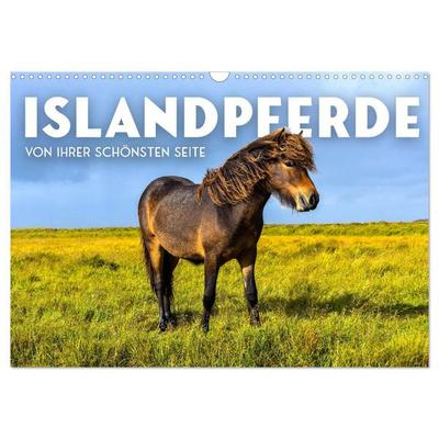 Islandpferde - Von ihrer schönsten Seite (Wandkalender 2027 DIN A3 quer), CALVENDO Monatskalender