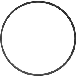 Ikelite Ersatz O-Ring für 0132.45 - DL Port System und Ultra Compact