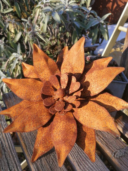 Hermes Trading Gazania Middagbloem Edelrost