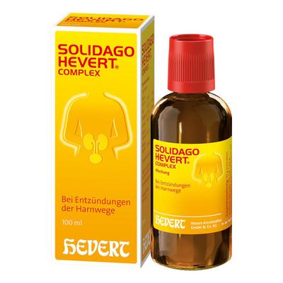 Solidago Hevert Complex Tropfen 100 ml