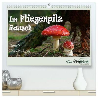Im Fliegenpilz Rausch (hochwertiger Premium Wandkalender 2027 DIN A2 quer), Kunstdruck in Hochglanz