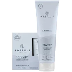 290ml Paul Mitchell Awapuhi Wild Ginger Hydrate Kur Set (Shampoo 250ml + Treatment 4 x 10ml)