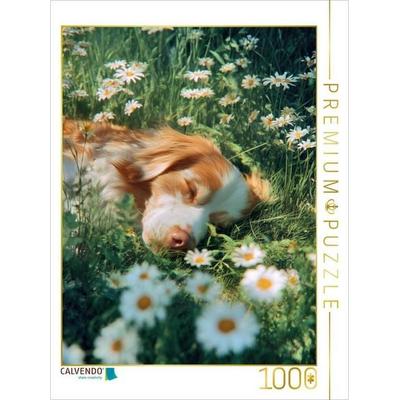 CALVENDO Puzzle Nicht kann mich jetzt aus der Ruhe bringen | 1000 Teile Lege-Größe 64 × 48 cm Foto-Puzzle für glückliche Stunden, von , Calvendo