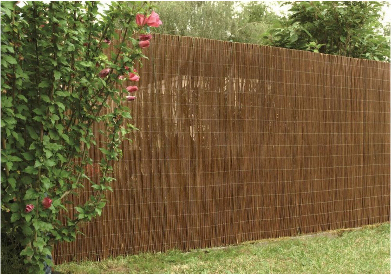 floraworld Sichtschutz Weide300 x 15 0 cmclassic (011427)