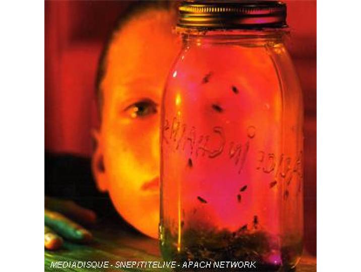 jar of flies