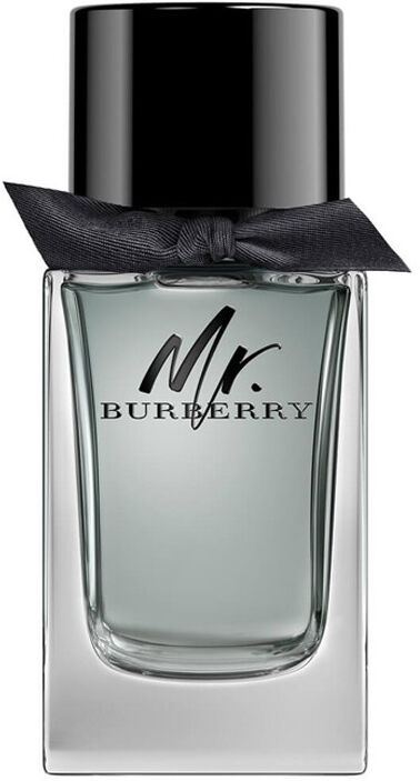 Mr Burberry Mr Burberry