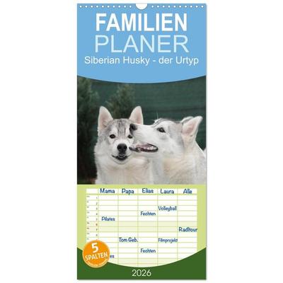 Familienplaner 2026 - Siberian Husky - der Urtyp mit 5 Spalten (Wandkalender, 21 x 45 cm) CALVENDO