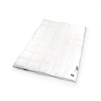 Kunstfaserbettdecke STENDEBACH "S-Loft Bettdecke, Allergiker geeignet (Hausstauballergiker)", beige (champagner), B:135cm L:200cm, Bezug: 100% Baumwolle. Füllung: 100% Polyester, Bettdecken, Bettdecke in 135x200 oder 155x220 cm, für Sommer oder Winter
