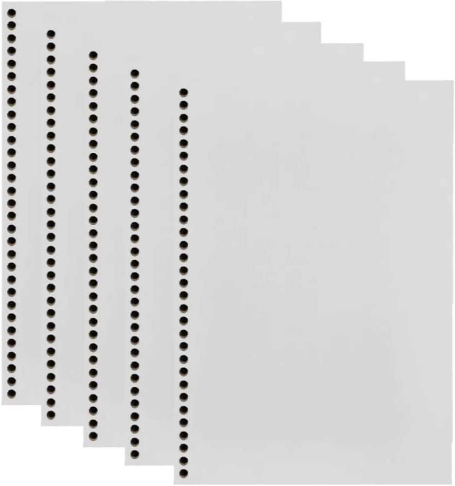 INF Lot de 5 recharges A4 à feuilles mobiles vierges 30 trous - 80 feuilles, 80g, 100g, Blanc