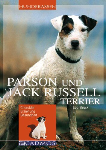 Eva Struck - Parson und Jack Russell Terrier: Charakter Erziehung Gesundheit - Preis vom 09.10.2026 07:28:09 h
