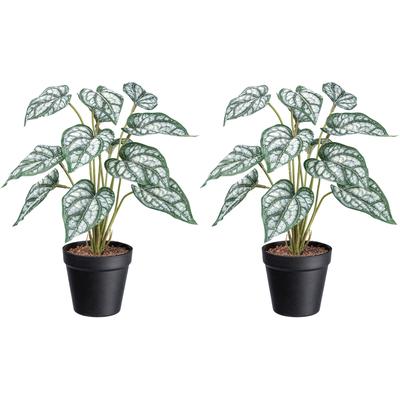 Künstliche Zimmerpflanze CREATIV GREEN "Syngonium", grün, H:38cm, Kunstpflanzen, Künstliche Zimmerpflanze, mit grünweißen Blättern