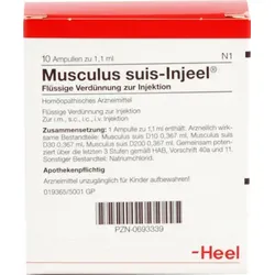 MUSCULUS SUIS Injeel Ampullen 10 St