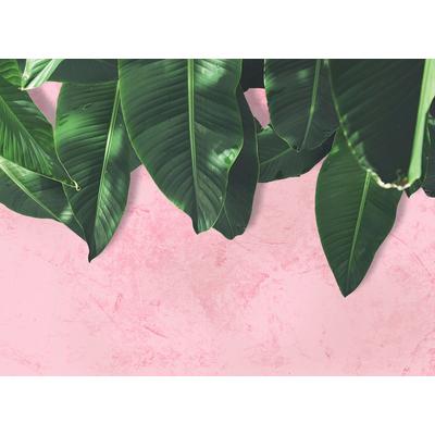 Fototapete LIVING WALLS "Designwalls Leaves Wall 1", grün (grün, rosa), B:3,5m L:2,55m, Vlies, Tapeten, Vlies, Wand, Schräge, Decke