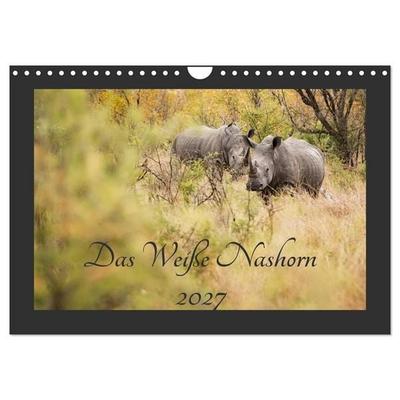 Das Weiße Nashorn (Wandkalender 2027 DIN A4 quer), CALVENDO Monatskalender