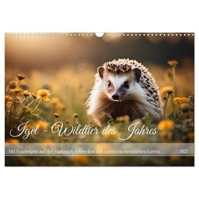 Igel - Wildtier des Jahres (Wandkalender 2027 DIN A3 quer), CALVENDO Monatskalender