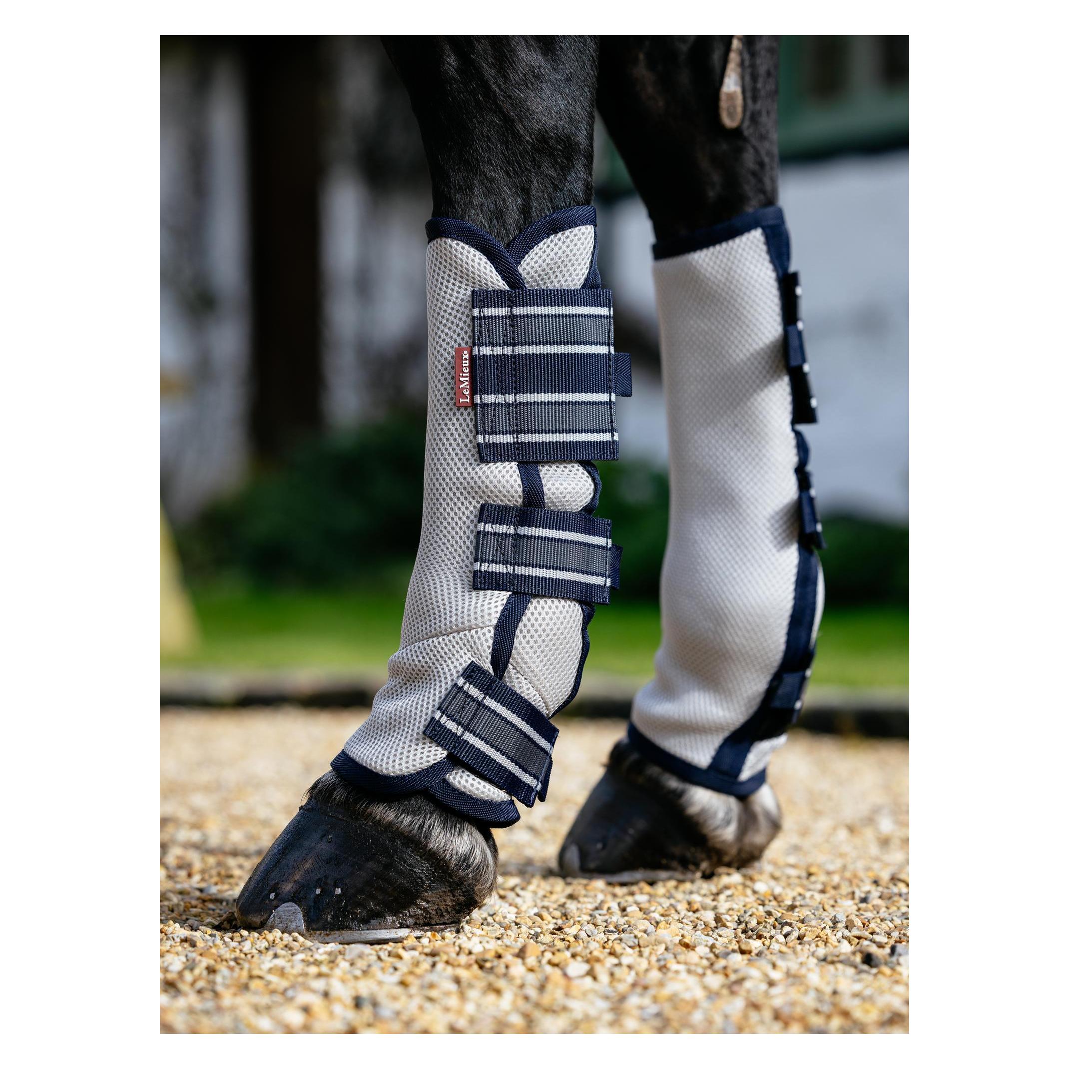 LeMieux Arika (L, M, S, XL) (IT04139007)