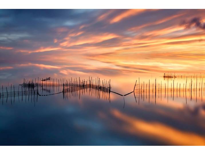 Fototapete PAPERMOON Photo-Art JOSE BEUT, FISHNETTEN , bunt, B:4,5m L:2,8m, Vlies, Tapeten, Fototapete
